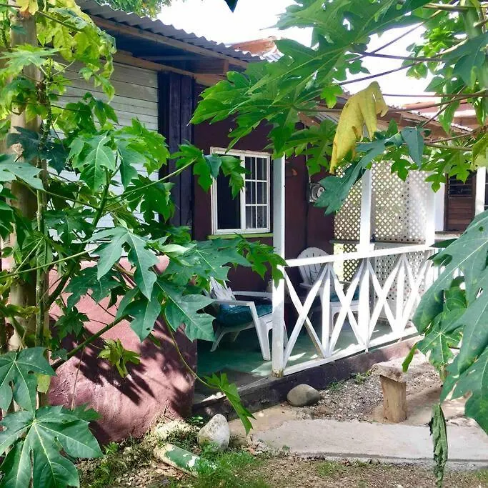 Charlie'S Place Zion Hill - Close To Blue Lagoon Πορτ Αντόνιο Διαμέρισμα