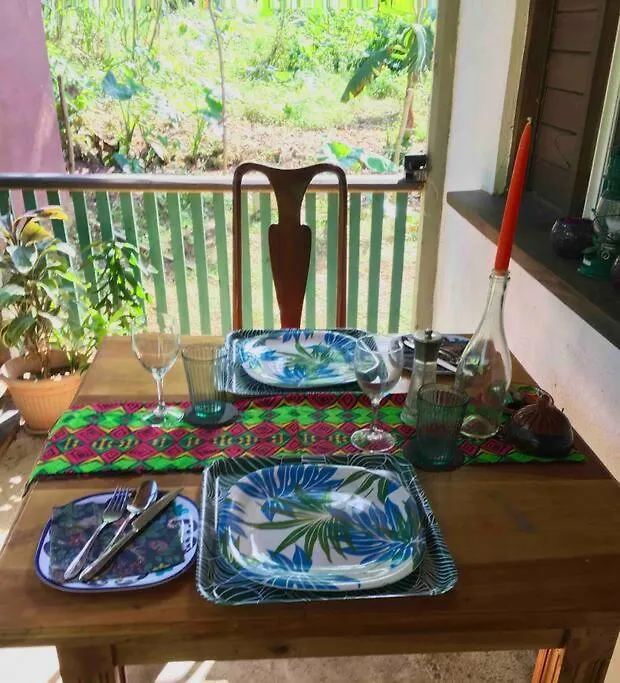 Daire Charlie'S Place Zion Hill - Close To Blue Lagoon Port Antonio Jamaika