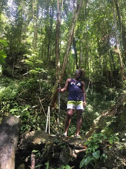 Daire Charlie'S Place Zion Hill - Close To Blue Lagoon Port Antonio