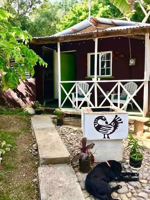 Charlie'S Place Zion Hill - Close To Blue Lagoon Port Antonio